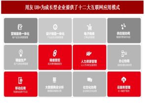 2017年中國(guó)管理軟件廠商云轉(zhuǎn)型現(xiàn)狀與趨勢(shì)分析